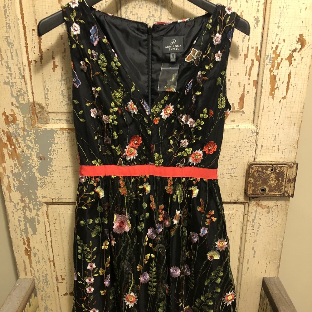 Adrianna Papell dress NWOT